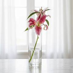 Rona Vase – Inspiration Design, Höhe 25,5 cm