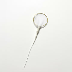 12 Stk. Delikate Deko-Picks "Goldener Tüllzauber" – 13 cm, Ideal für Gastgeschenke & Braut-Accessoires