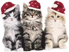 Paper + Design Weihnachtsservietten Xmas Cats 33 cm x 33 cm, 1 Stück