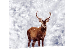 Paper + Design Weihnachtsservietten Winter Deer 33 cm x 33 cm, 20 Stück