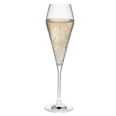 Rona Edge Champagnerflöte 22 cl, 6er-Set